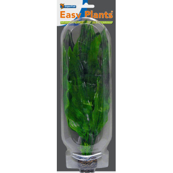 Easy Plants High NR5